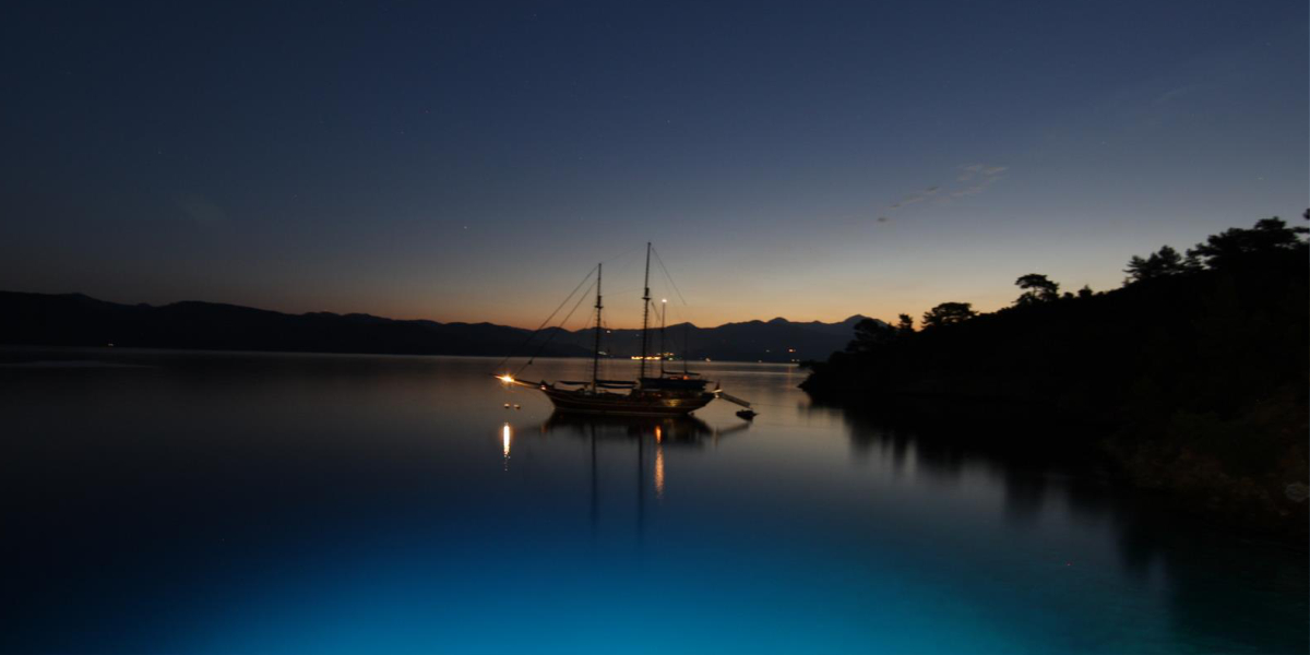 Blue Cruise