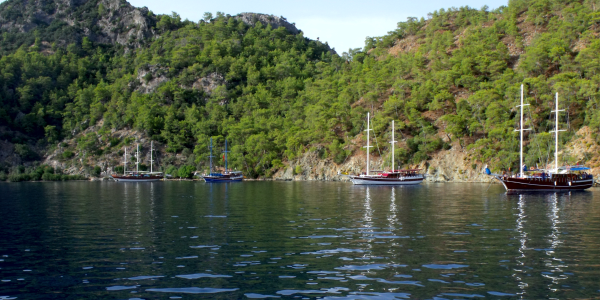 Blue Cruise