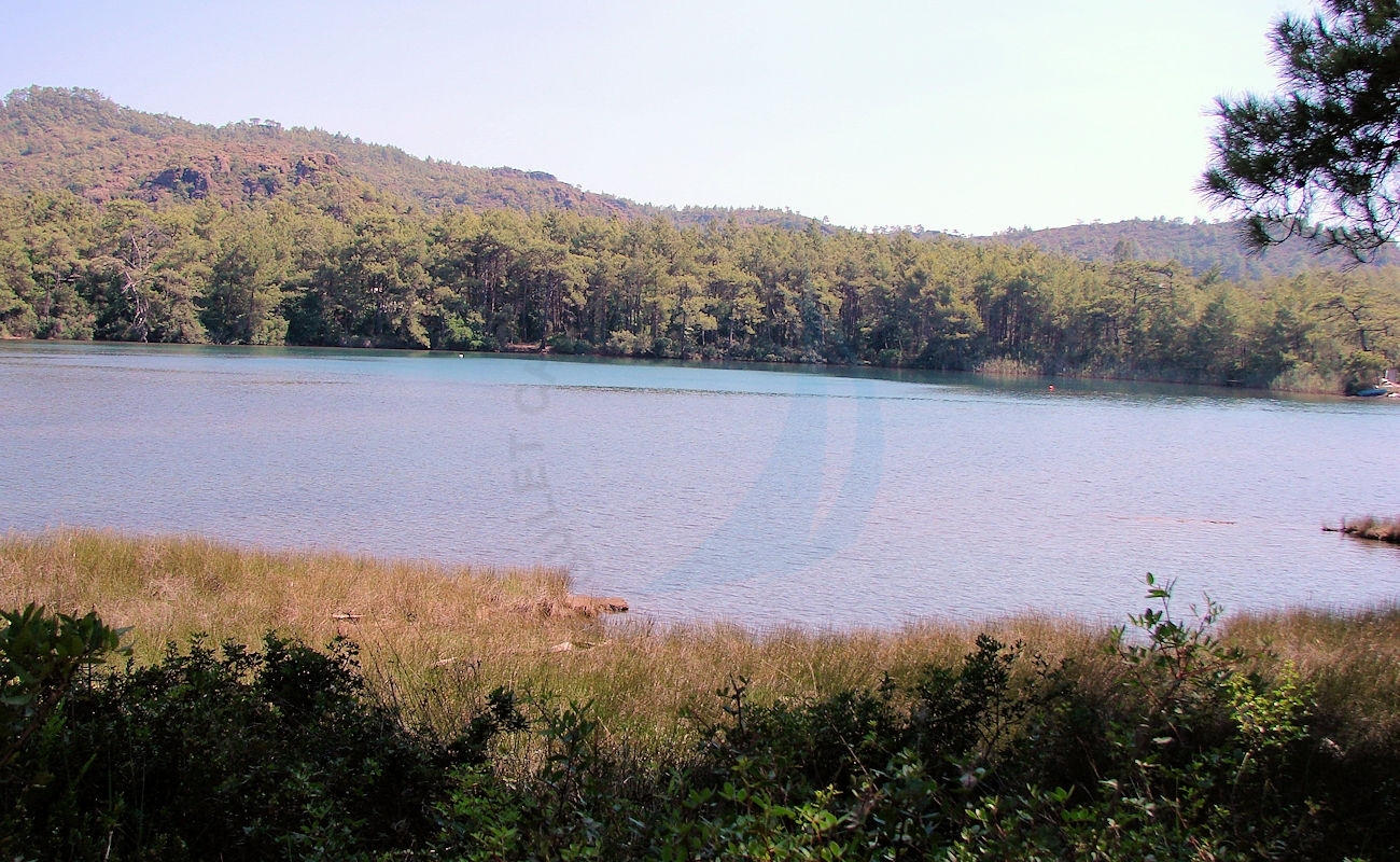 Bencik Bay